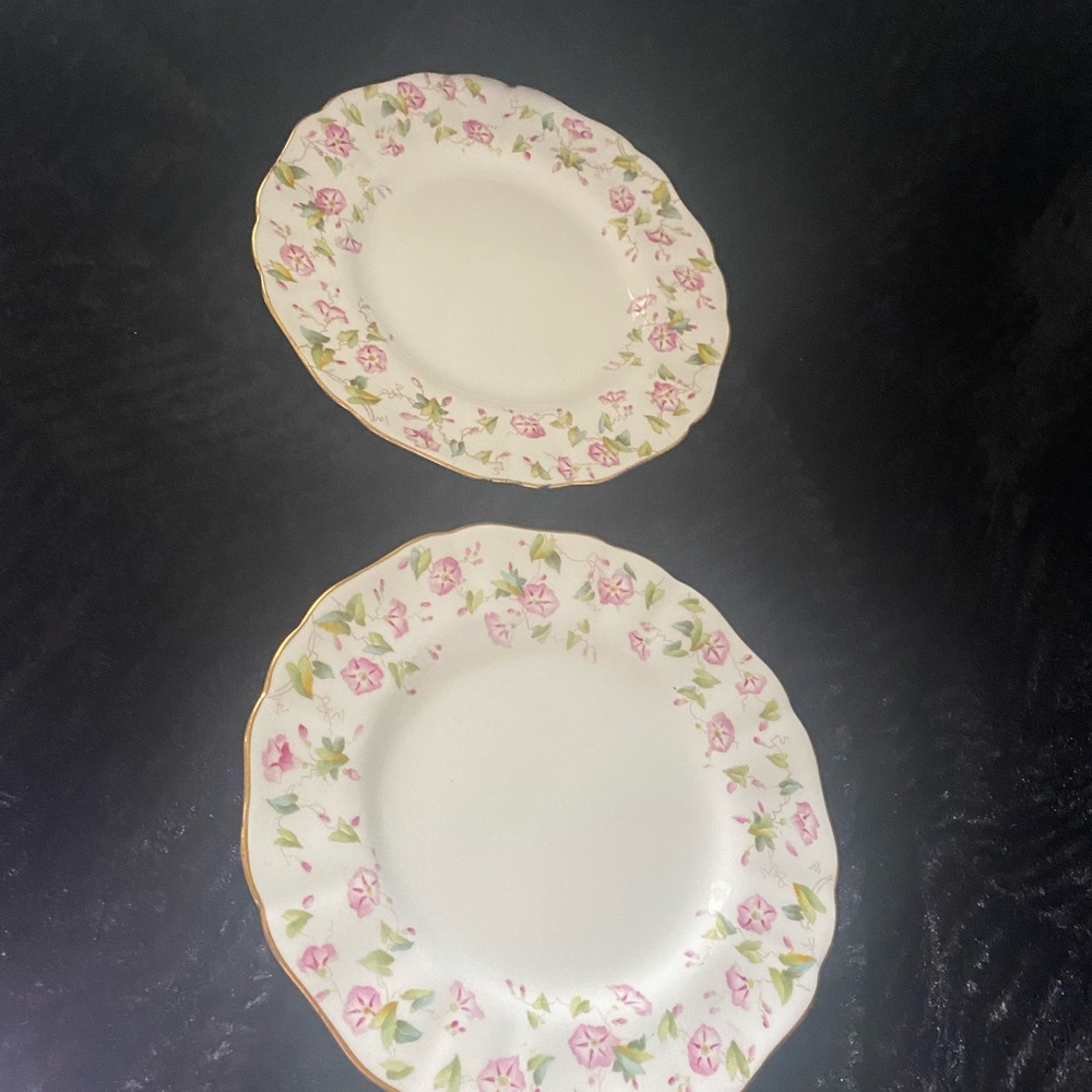 Two pretty floral vintage Cauldon England plates